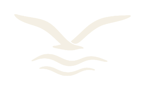 Gaivota Nest